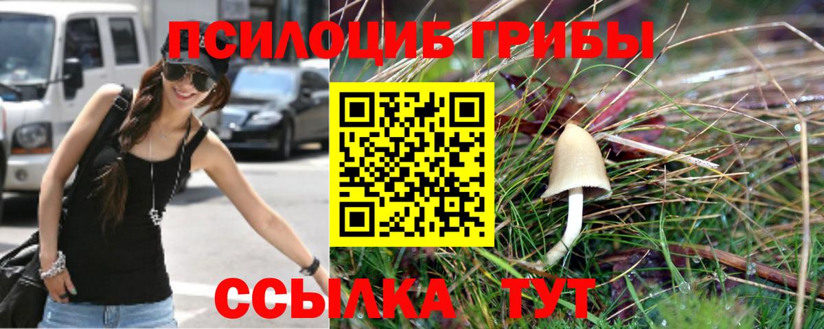 Галлюциногенные грибы Magic Shrooms Муром